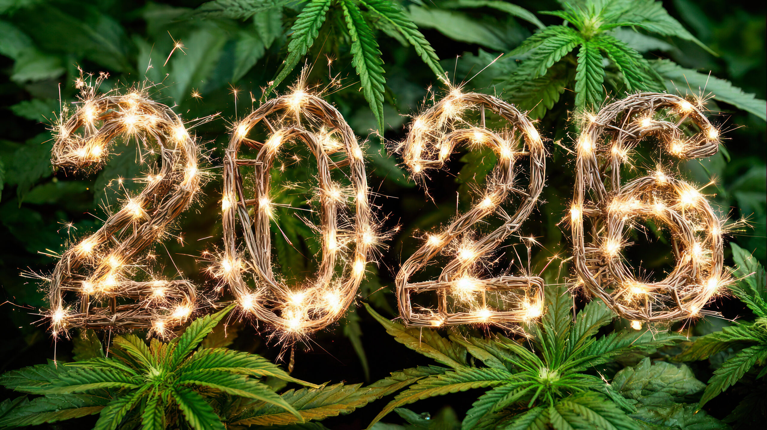 cannabis 2026