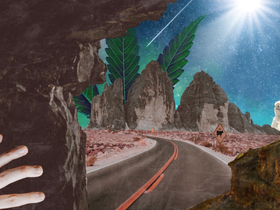 High Road to Chicks and Cannabis