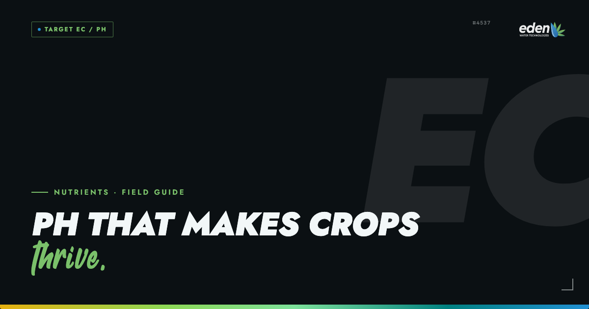 pH of Water for Cannabis: How to Make Your Crops Thrive