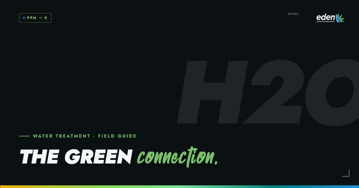 The Green Connection: Cannabis Cultivation and Responsible Water Management