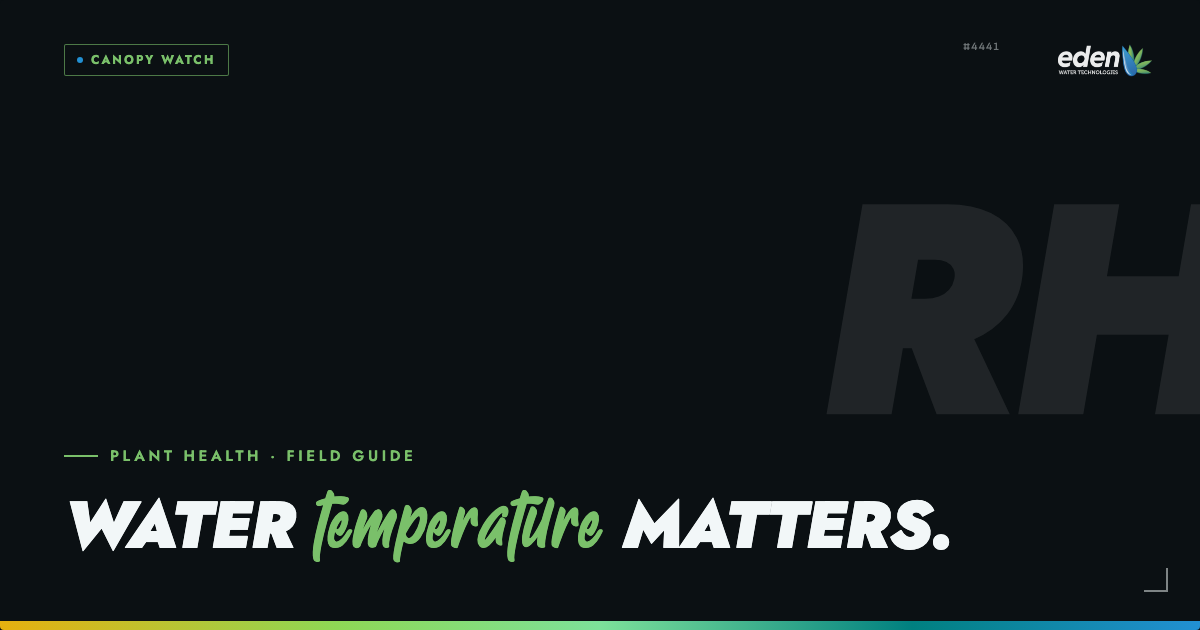Water Temperature for Cannabis Plants: Things to Consider